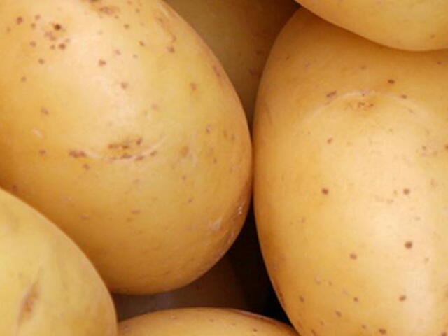 Kvalitní brambory ze ŽIVY z Klášterce nad Orlicí: skvěle chutnají a za skvělou cenu