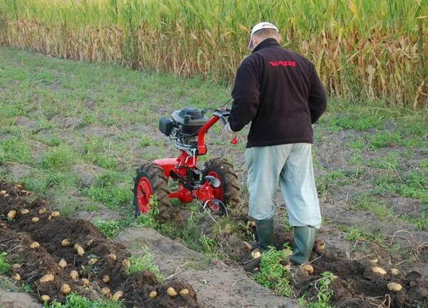 Radlice vyorávací AVR-453